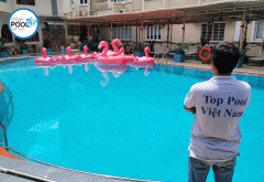 Cải tạo hồ bơi AZURE Quận 3