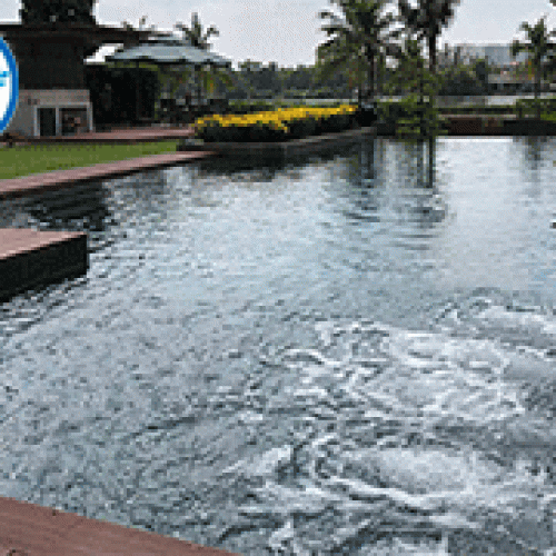 Xây dựng hồ bơi Quận 2 chị Hồng