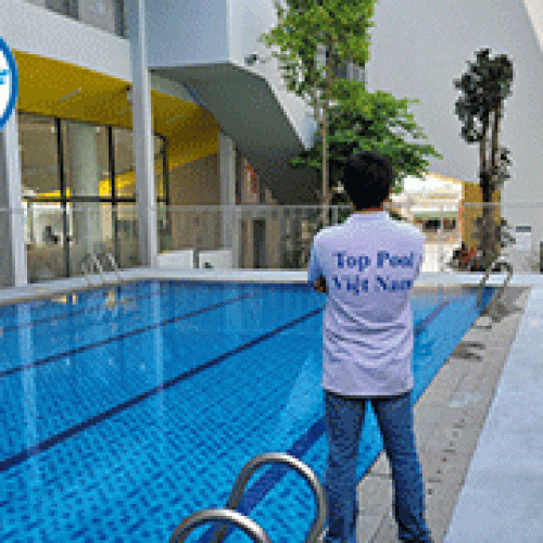 Xây Dựng Hồ Bơi Trường Trịnh Hoài Đức