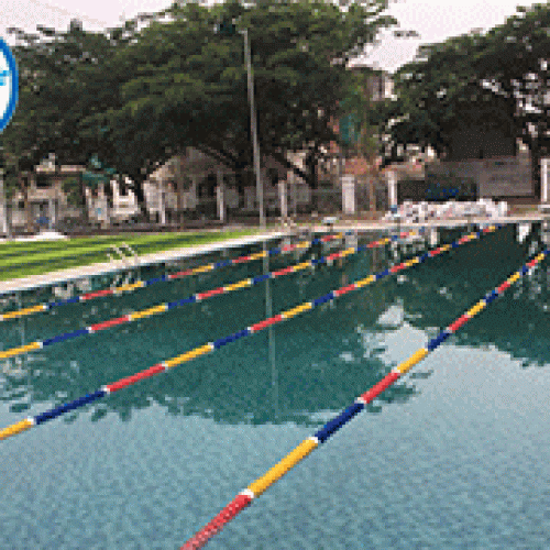 Hồ bơi trường học quốc tế