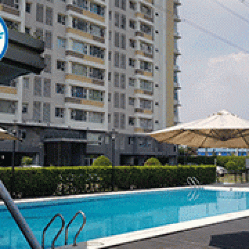 Sửa chữa hồ bơi công cộng Flora Anh Đào