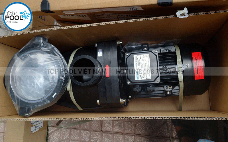 bơm bể bơi waterco