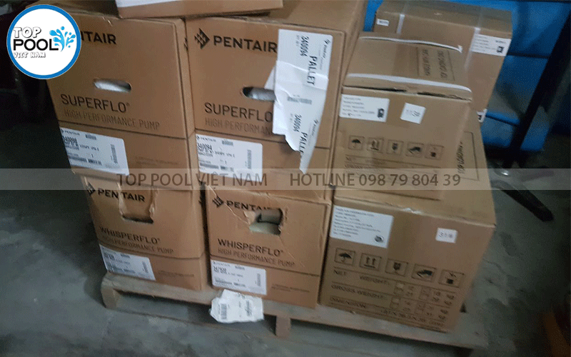 bơm hồ bơi pentair