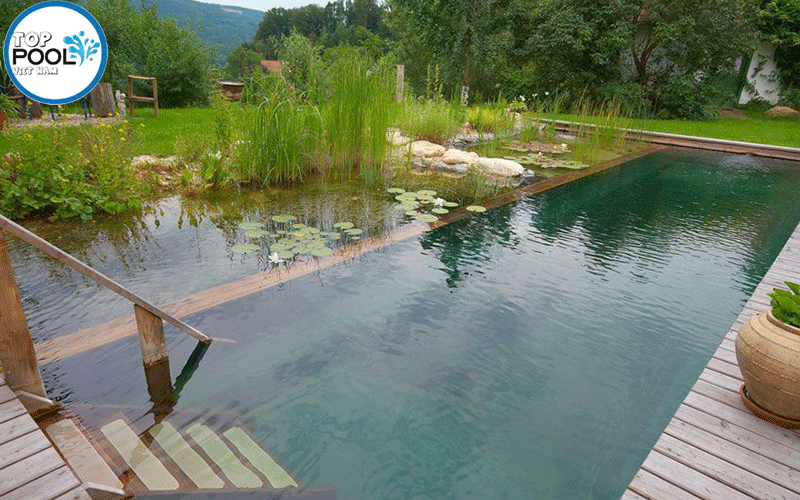 hồ bơi sinh thái đẹp