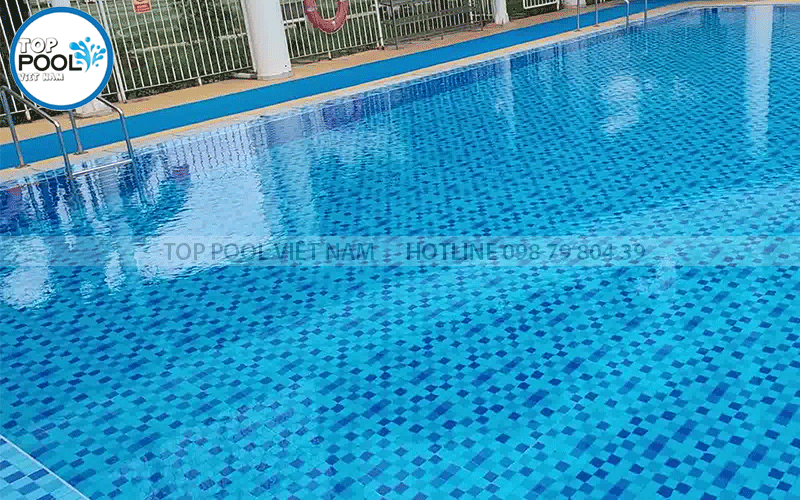 hồ bơi trường học quốc tế