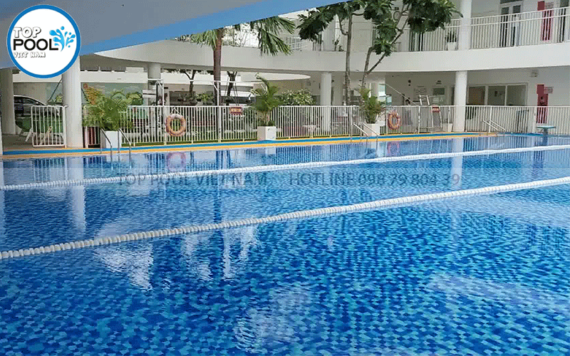 hồ bơi trường học quốc tế