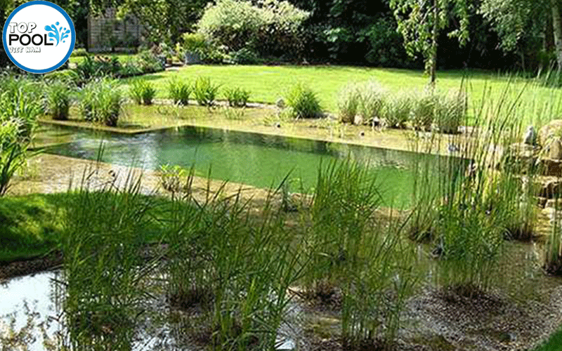 hồ bơi tự nhiên