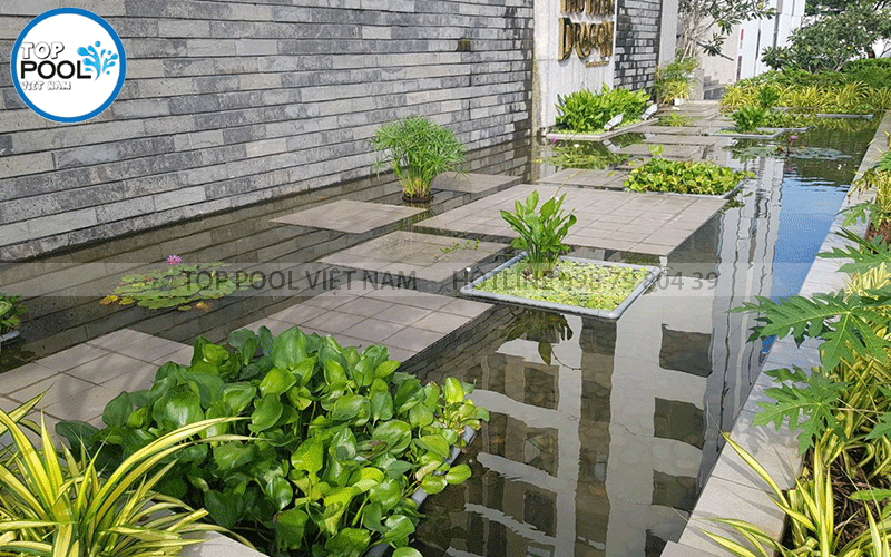 hồ cảnh thác nước