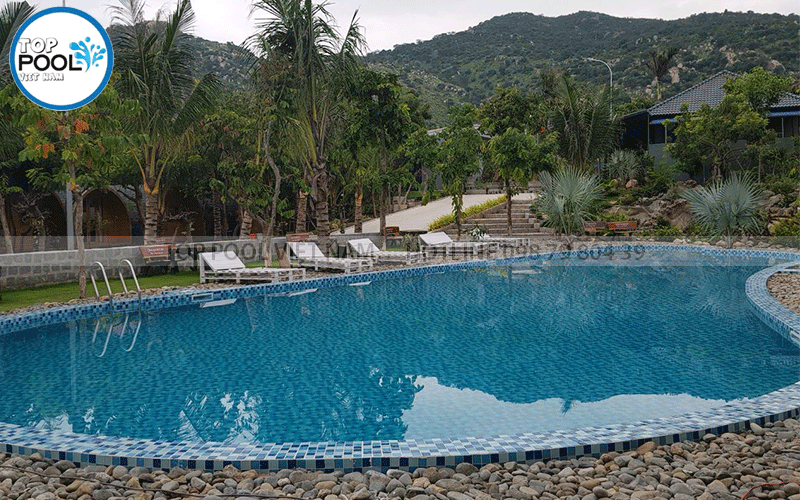 mẫu hồ bơi đẹp Homestay