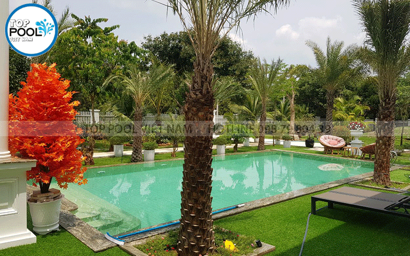 mẫu hồ bơi đẹp trong sân vườn