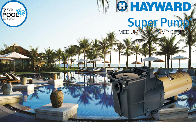 Máy bơm hồ bơi Hayward 3/4HP