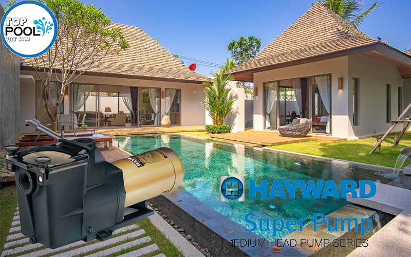 Máy bơm hồ bơi Hayward 1.5HP