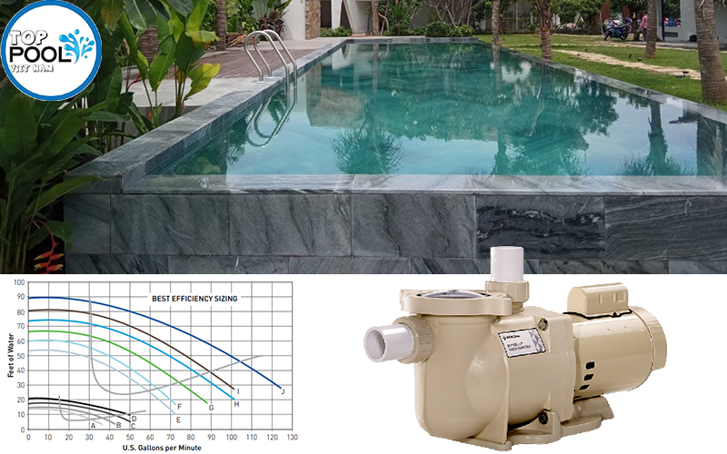 máy bơm Pentair Superflo