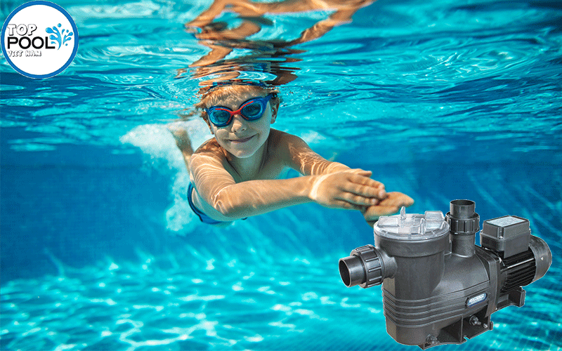 máy bơm hồ bơi waterco