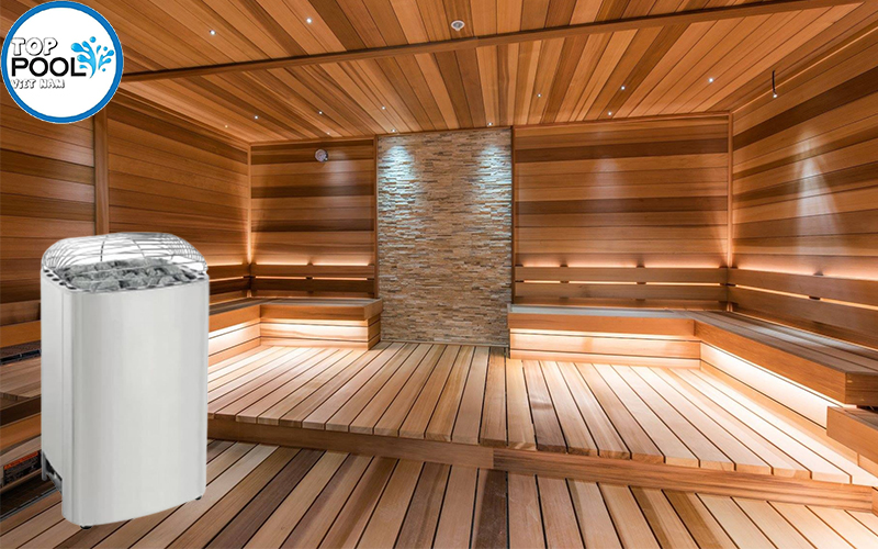 Máy xông hơi khô Steamist 10Kw SMS-100