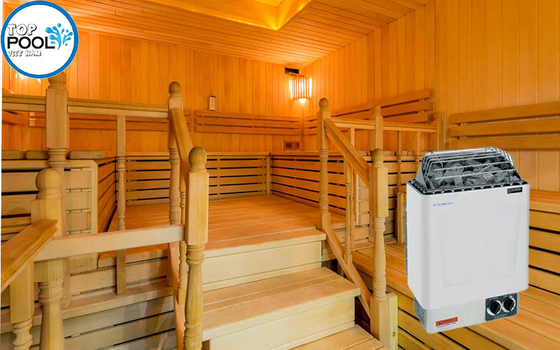 Máy xông hơi khô Steamist 6 Kw