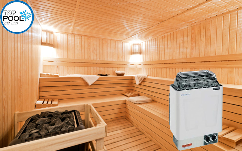 Máy xông hơi khô Steamist 6 Kw SMS-60