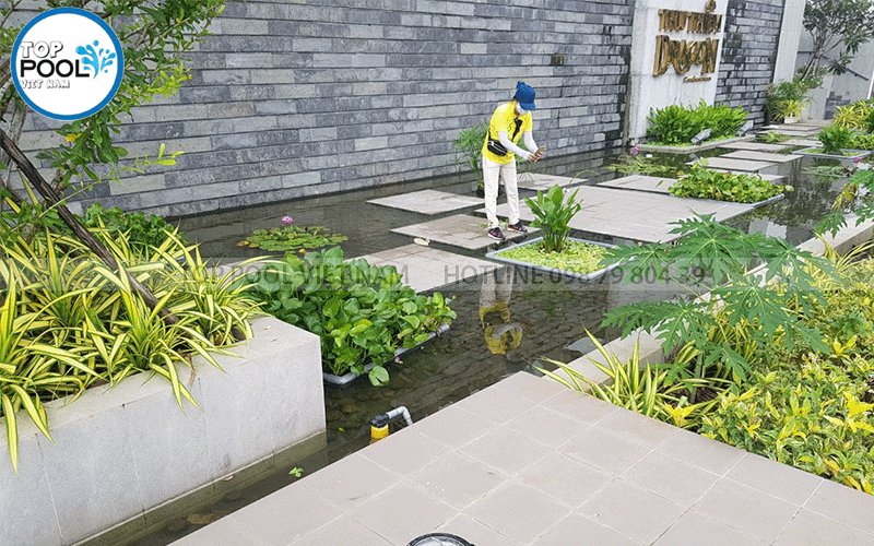 thác nước hồ cảnh